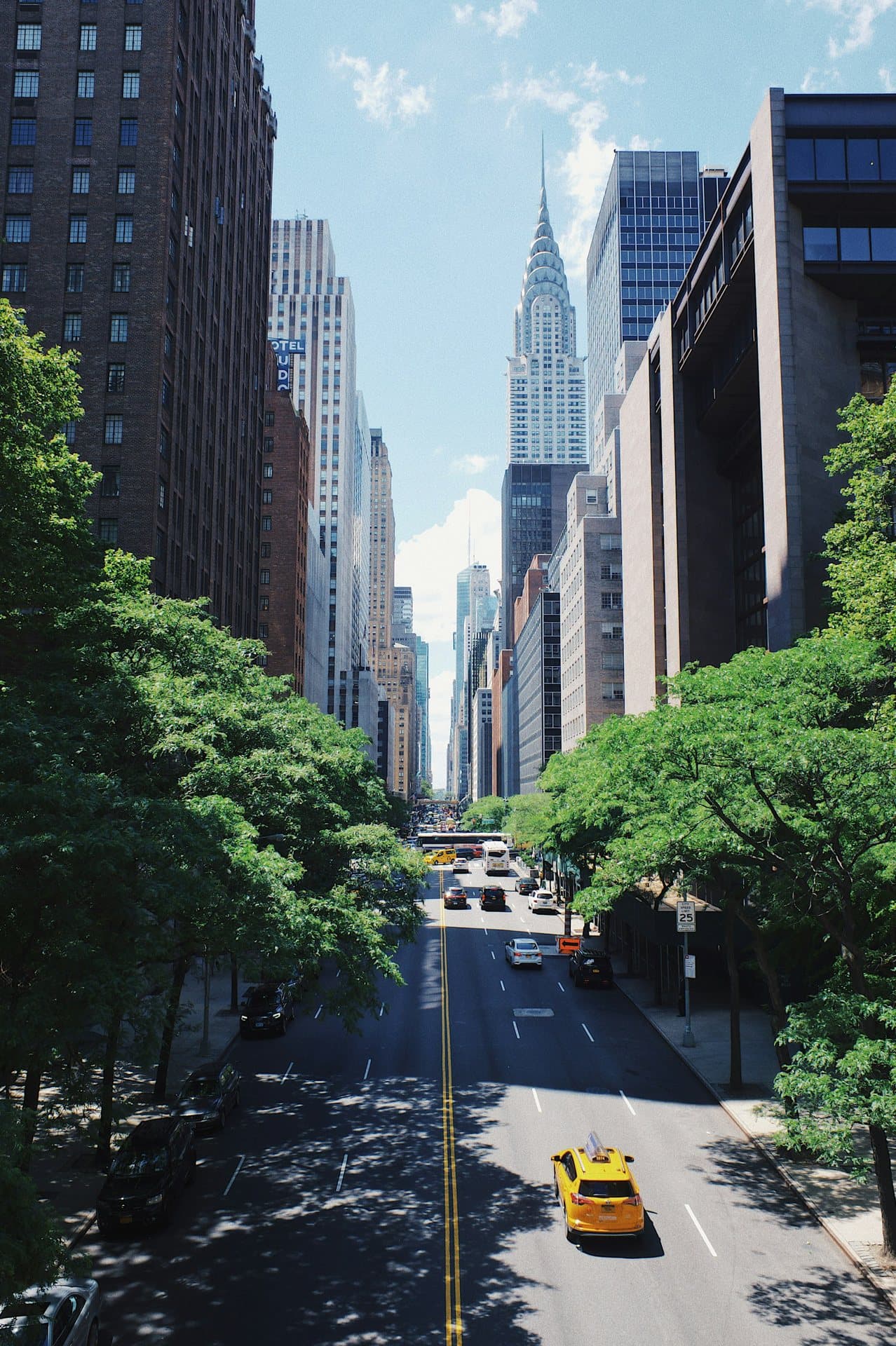 Tree-lined city avenue between tall buildings